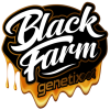 BLACK FARM GENETIX