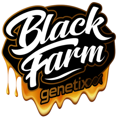 Black Farm Genetix - Glueberry