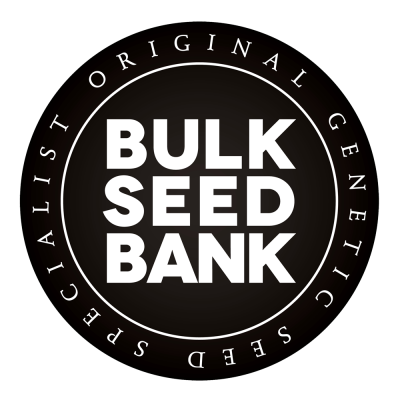 Bulk Seed Bank - Auto CBD White Widow