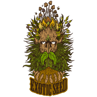 Exotic Seed - Devil Kush regular