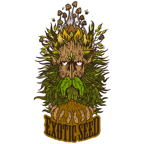 EXOTIC SEED