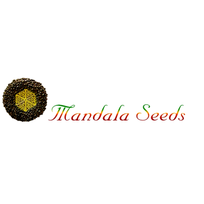 Mandala Seeds - Kalichakra regular