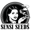 SENSI SEEDS