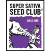SUPER SATIVA SEED CLUB