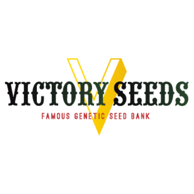 Victory Seeds - Green Wild Shark