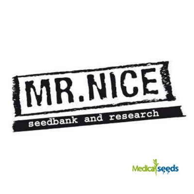 Mr. Nice - Angel Heart regular