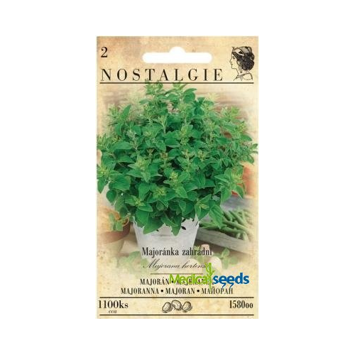 Majoránka zahradní