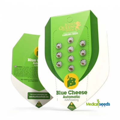 Royal Queen Seeds - Blue Cheese Automatic
