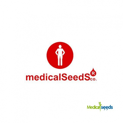 Medical Seeds Co. - Banana Purp