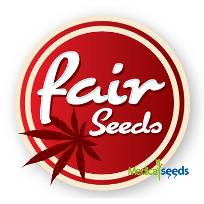 Fair Seeds -  Budmint