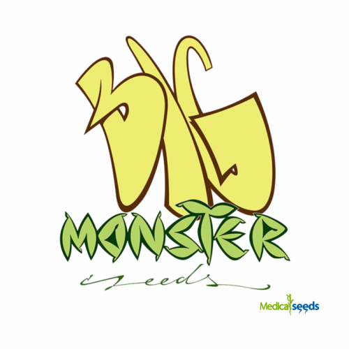 Big Monster Seeds - Sweet Carrot Jam