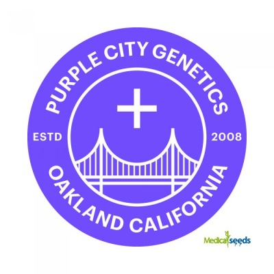 Purple City Genetics - Razzberry Gastank Auto