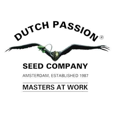 Dutch Passion - Auto Euforia
