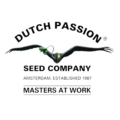 Dutch Passion - Auto Orange Bud
