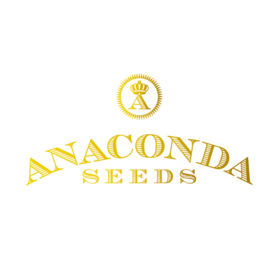 Anaconda Seeds - White Widow