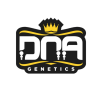 DNA GENETICS