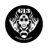 G13 LABS