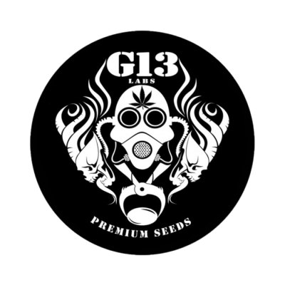 G13 Labs Seeds - Chocolate Heaven