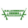 KALASHNIKOV SEEDS