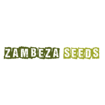 Zambeza Seeds - White Widow XL