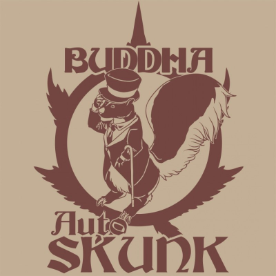 Buddha Seeds - Auto Skunk