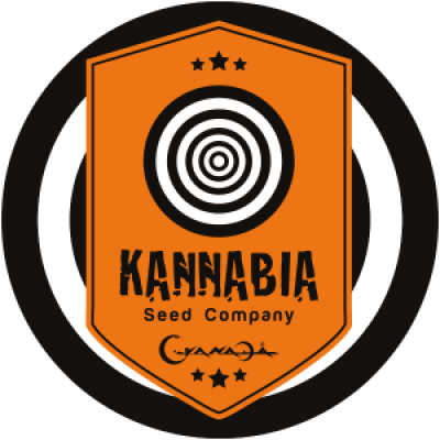 Kannabia Seeds - CBG Auto
