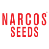 NARCOS SEEDS