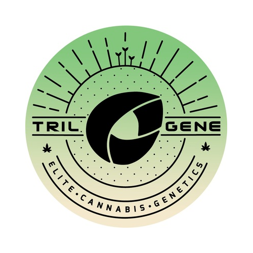 Trilogene Seeds - Banana Foster