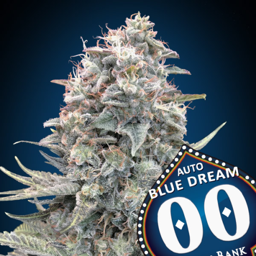 00 Seeds Bank - Auto Blue Dream