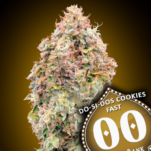 00 Seeds Bank - Do-Si-Dos Cookies Fast
