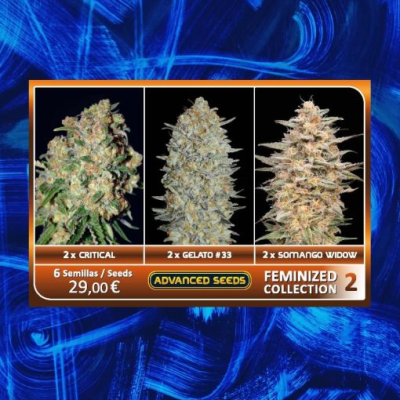 Advanced Seeds - Feminized Collection #2