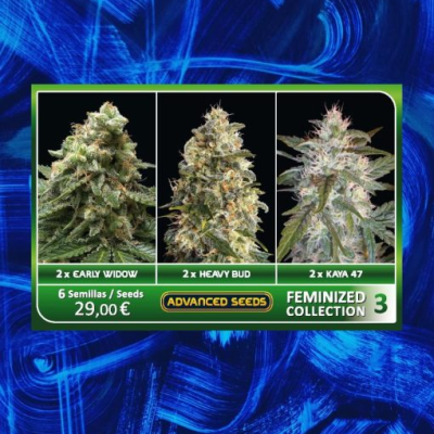 Advanced Seeds - Feminized Collection #3