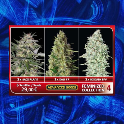 Advanced Seeds - Feminized Collection #4