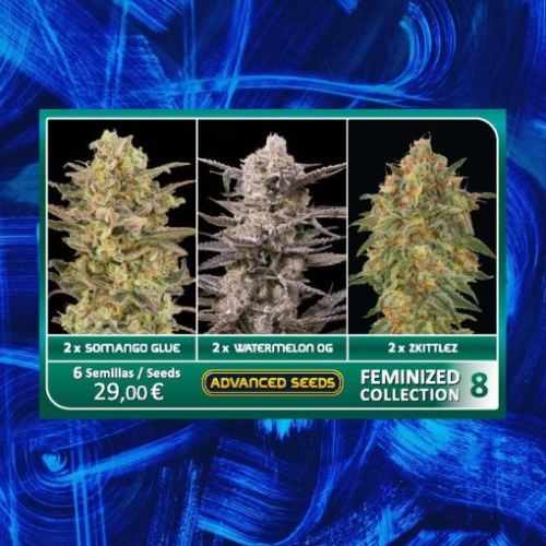 Advanced Seeds - Feminized Collection #8