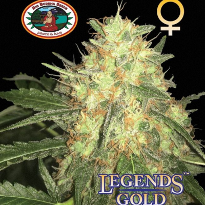 Big Buddha Seeds - Legends Gold