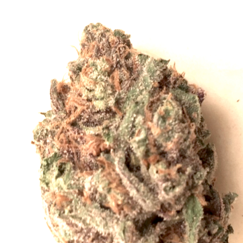 BSBs Cali Connection - Skywalker Cookies