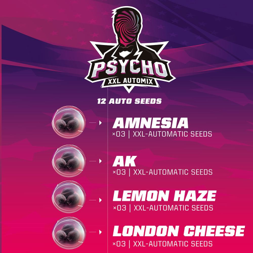 BSF Seeds - Psycho XXL Automix