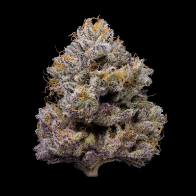 Cookies Seed Bank - ZZ4