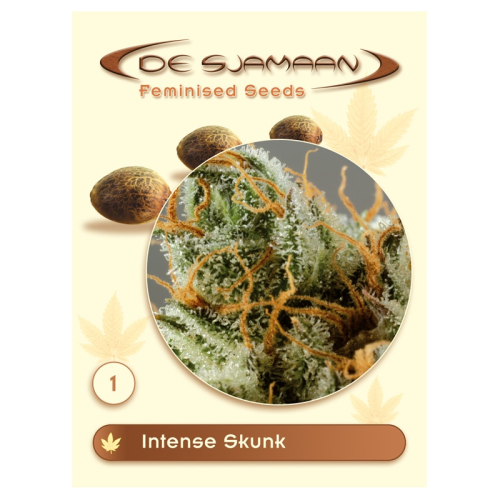 De Sjamaan Seeds - Intense Skunk