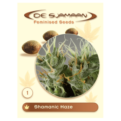 De Sjamaan Seeds - Shamanic Haze