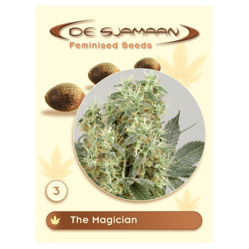 De Sjamaan Seeds - The Magician