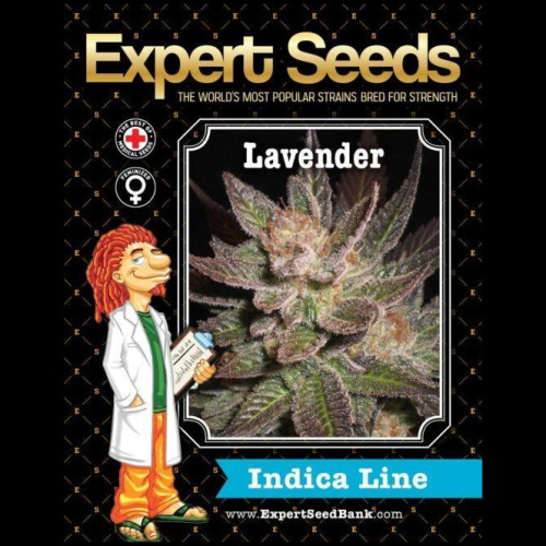 Expert Seeds - Lavender