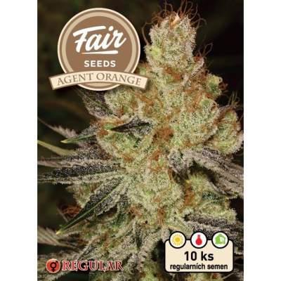 Fair Seeds - Agent Orange regular