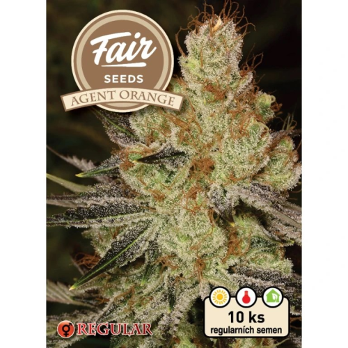 Fair Seeds - Agent Orange regular