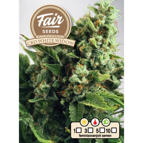 Fair Seeds - Auto CBD White Widow
