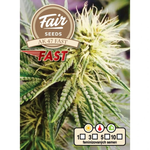 Fair Seeds - AK 47 Fast