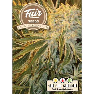 Fair Seeds - AK 47 x Northern Light