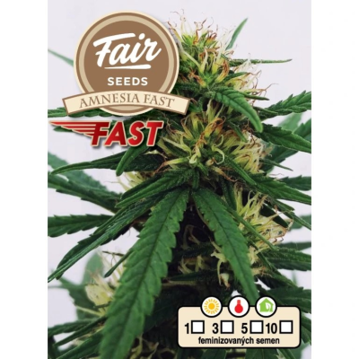 Fair Seeds - Amnesia Fast