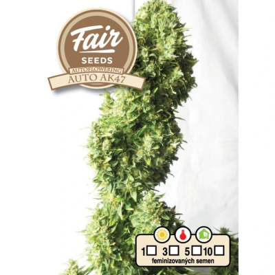 Fair Seeds - Auto AK47