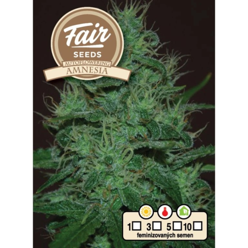 Fair Seeds - Auto Amnesia